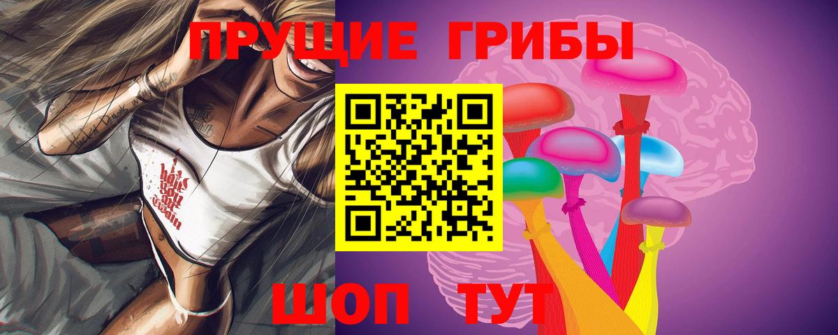 Псилоцибиновые грибы Psilocybe  Галлюциногенные грибы мицелий  Вход с VPN  Борзя 