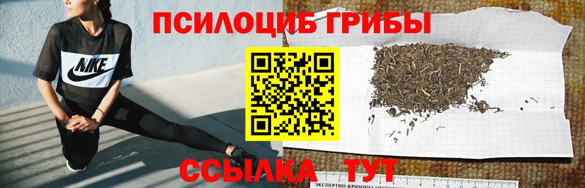 Галлюциногенные грибы Cubensis Борзя